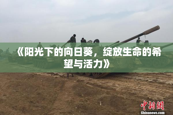 《阳光下的向日葵，绽放生命的希望与活力》