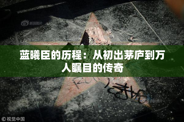 蓝曦臣的历程：从初出茅庐到万人瞩目的传奇