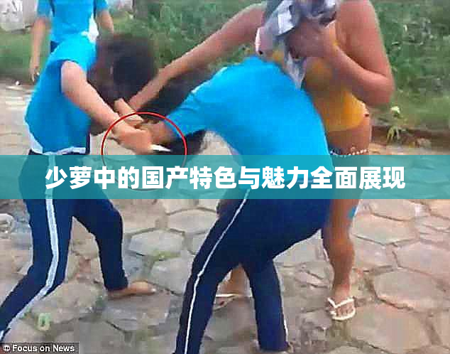 少萝中的国产特色与魅力全面展现