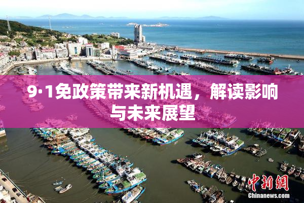 9·1免政策带来新机遇，解读影响与未来展望