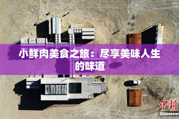 小鲜肉美食之旅：尽享美味人生的味道