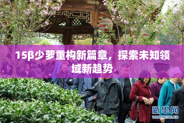 15β少萝重构新篇章，探索未知领域新趋势