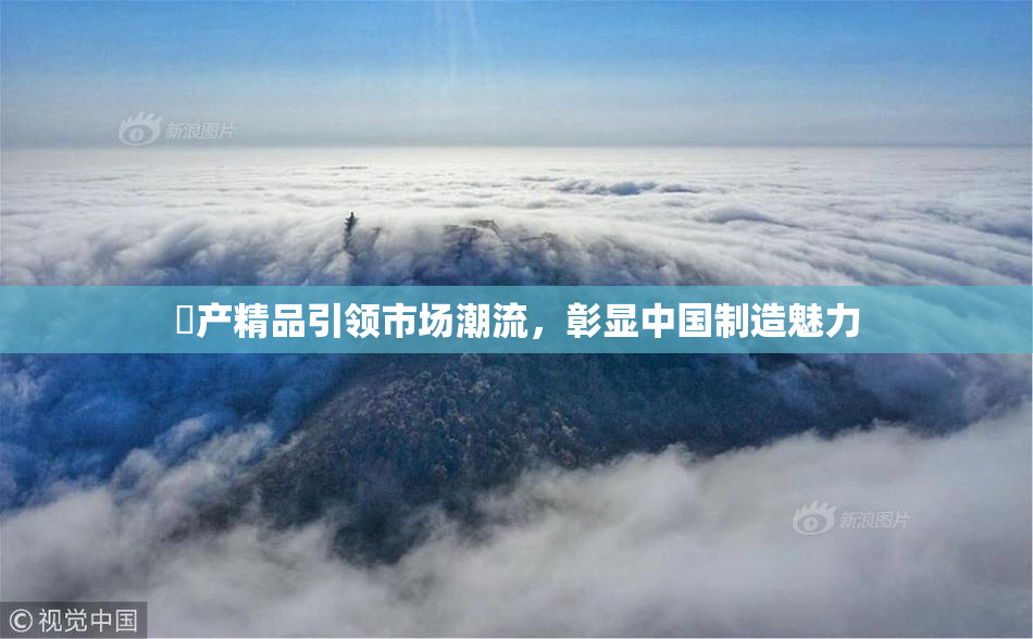 囯产精品引领市场潮流，彰显中国制造魅力