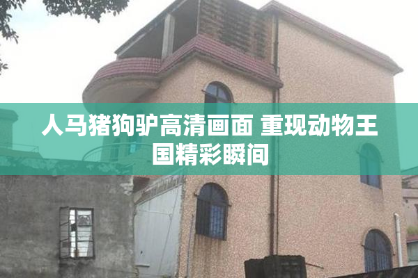 人马猪狗驴高清画面 重现动物王国精彩瞬间