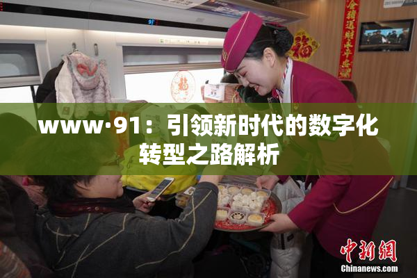 www·91：引领新时代的数字化转型之路解析