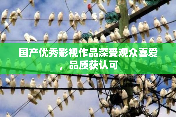 国产优秀影视作品深受观众喜爱，品质获认可