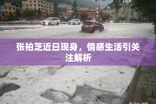 张柏芝近日现身，情感生活引关注解析