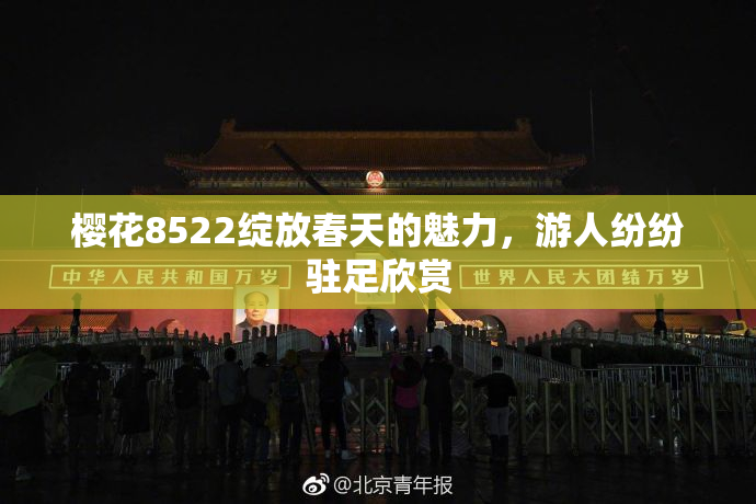 樱花8522绽放春天的魅力，游人纷纷驻足欣赏
