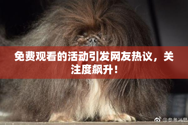 免费观看的活动引发网友热议，关注度飙升！