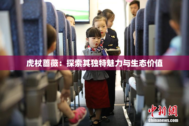 虎杖蔷薇：探索其独特魅力与生态价值