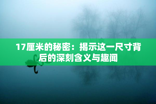 17厘米的秘密：揭示这一尺寸背后的深刻含义与趣闻