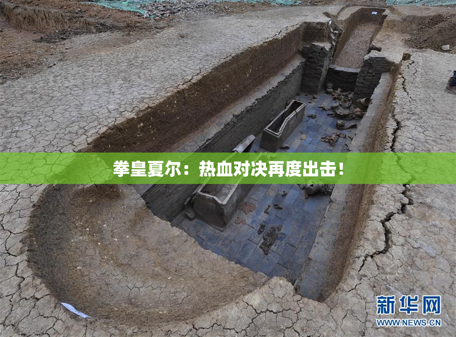 拳皇夏尔：热血对决再度出击！
