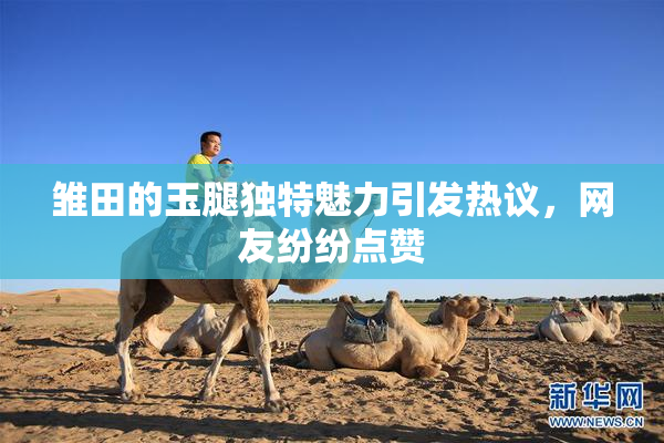 雏田的玉腿独特魅力引发热议，网友纷纷点赞