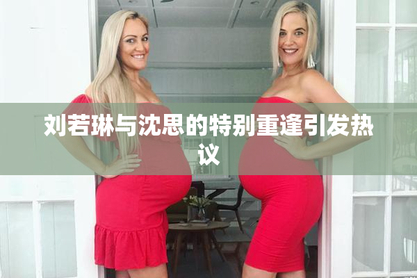 刘若琳与沈思的特别重逢引发热议