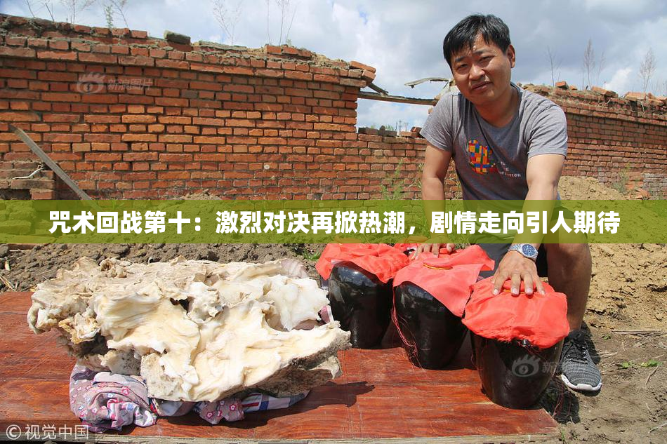 咒术回战第十：激烈对决再掀热潮，剧情走向引人期待
