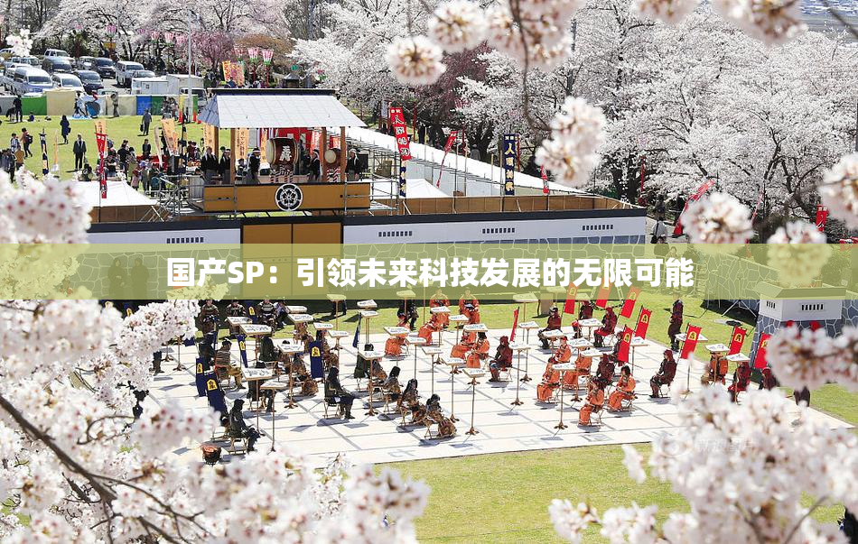 国产SP：引领未来科技发展的无限可能