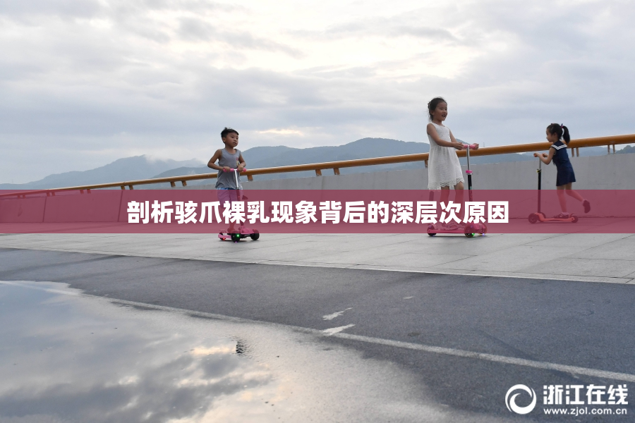 剖析骇爪裸乳现象背后的深层次原因