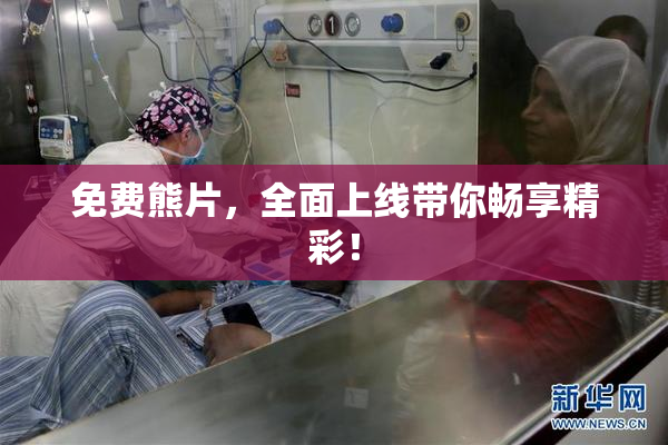 免费熊片，全面上线带你畅享精彩！