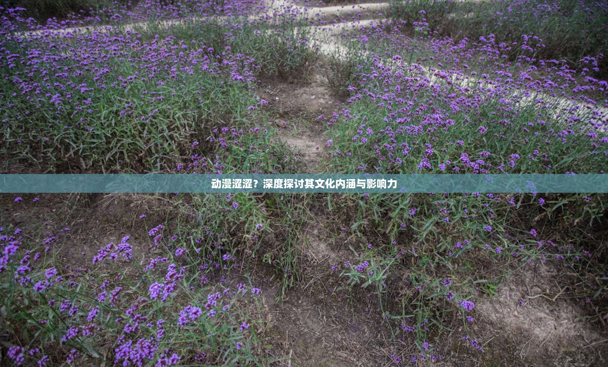 动漫涩涩？深度探讨其文化内涵与影响力