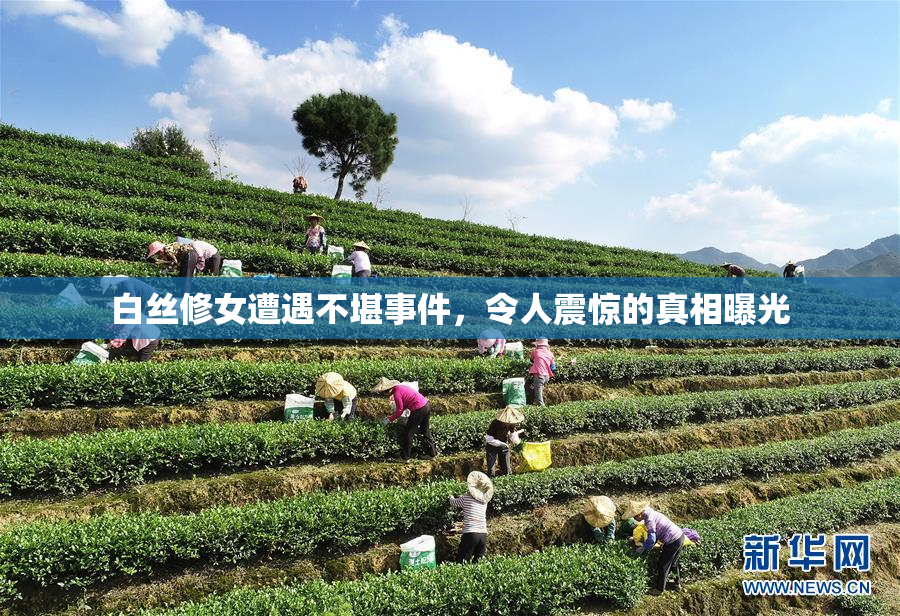白丝修女遭遇不堪事件，令人震惊的真相曝光