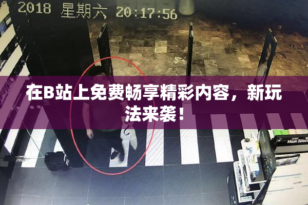 在B站上免费畅享精彩内容，新玩法来袭！