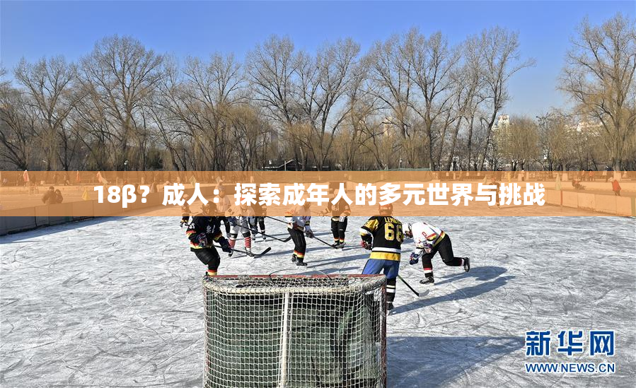 18β？成人：探索成年人的多元世界与挑战