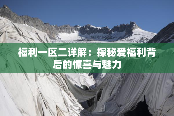 福利一区二详解：探秘爱福利背后的惊喜与魅力