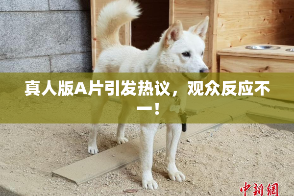 真人版A片引发热议，观众反应不一！