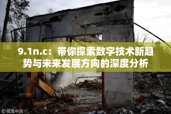9.1n.c：带你探索数字技术新趋势与未来发展方向的深度分析