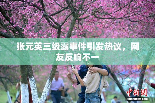 张元英三级露事件引发热议，网友反响不一