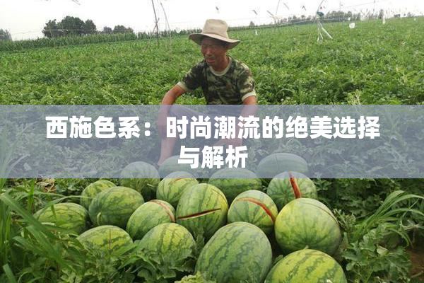 西施色系：时尚潮流的绝美选择与解析