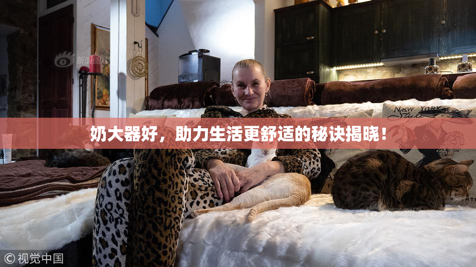 奶大器好，助力生活更舒适的秘诀揭晓！