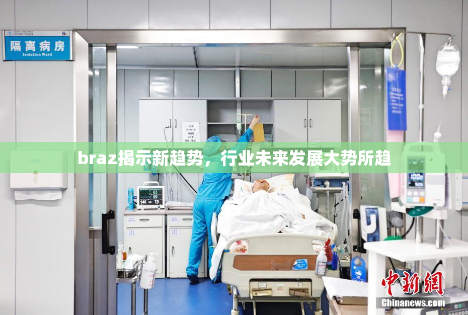 braz揭示新趋势，行业未来发展大势所趋