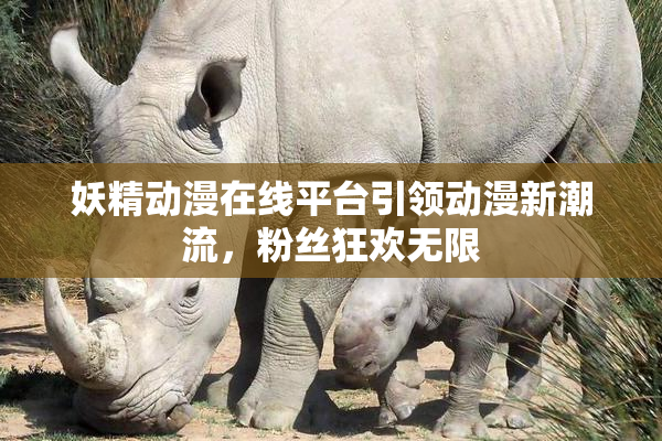 妖精动漫在线平台引领动漫新潮流，粉丝狂欢无限