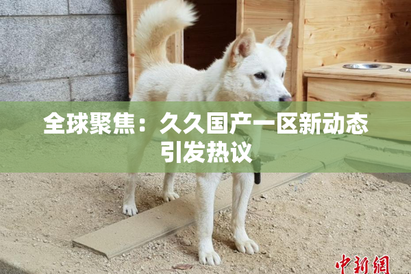 全球聚焦：久久国产一区新动态引发热议