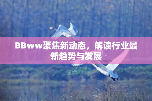 BBww聚焦新动态，解读行业最新趋势与发展