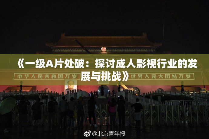 《一级A片处破：探讨成人影视行业的发展与挑战》