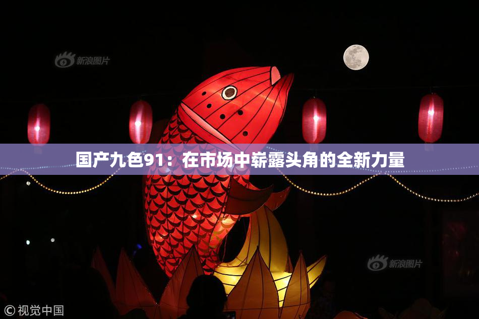 国产九色91：在市场中崭露头角的全新力量
