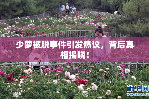少萝被脱事件引发热议，背后真相揭晓！