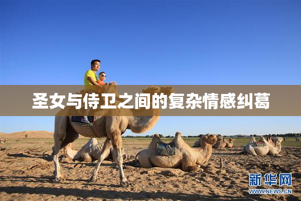 圣女与侍卫之间的复杂情感纠葛