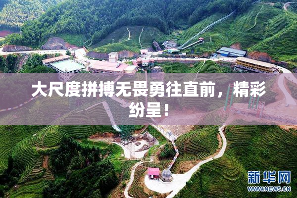 大尺度拼搏无畏勇往直前，精彩纷呈！
