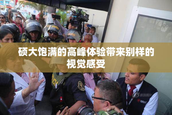 硕大饱满的高峰体验带来别样的视觉感受