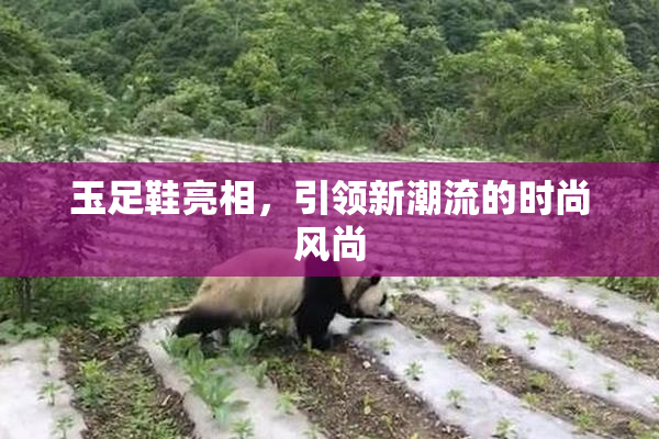 玉足鞋亮相，引领新潮流的时尚风尚