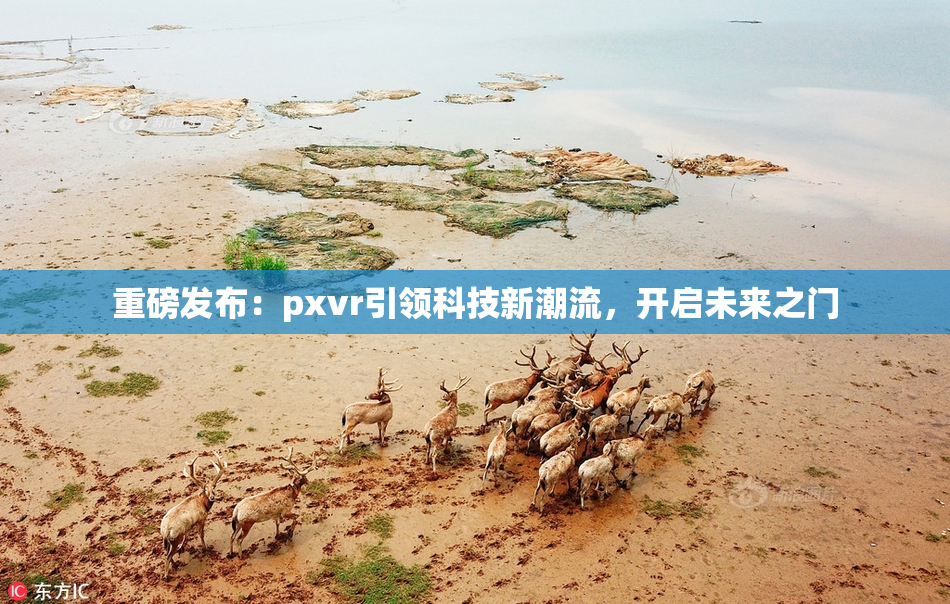 重磅发布：pxvr引领科技新潮流，开启未来之门