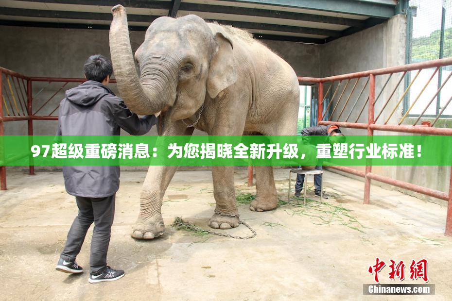 97超级重磅消息：为您揭晓全新升级，重塑行业标准！