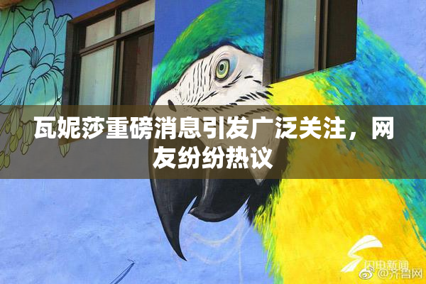 瓦妮莎重磅消息引发广泛关注，网友纷纷热议