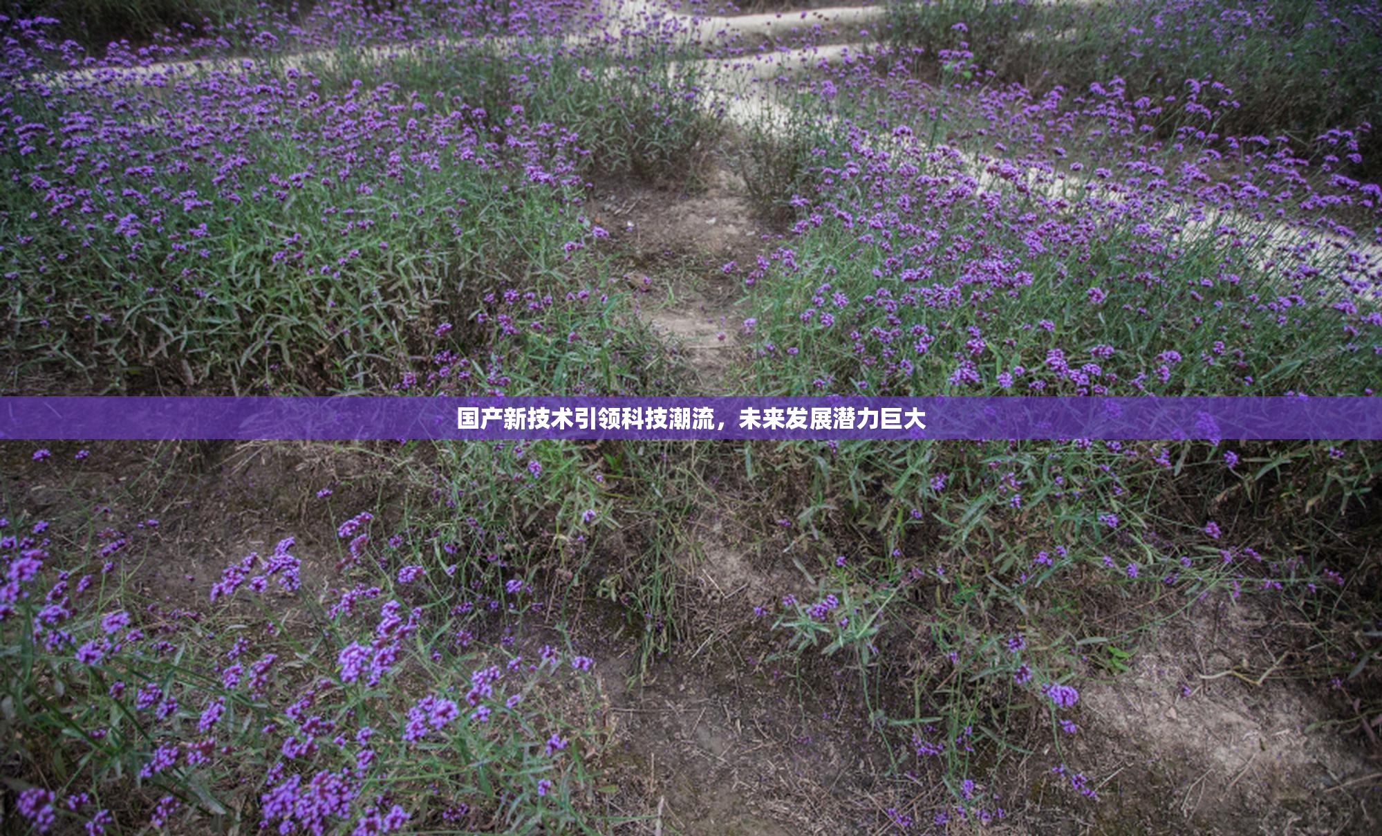 国产新技术引领科技潮流，未来发展潜力巨大