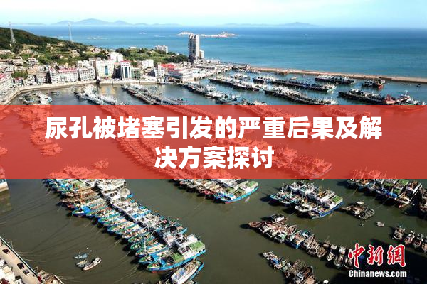 尿孔被堵塞引发的严重后果及解决方案探讨
