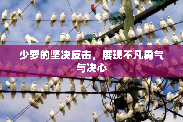 少萝的坚决反击，展现不凡勇气与决心