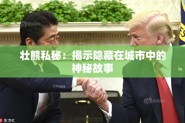 壮熊私秘：揭示隐藏在城市中的神秘故事